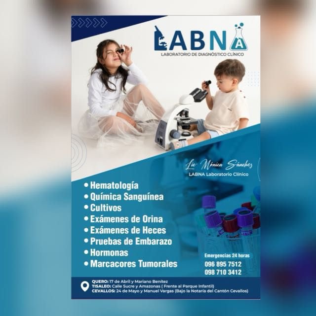 Contacto whatsapp image 2025 11 28 at 22.16.35